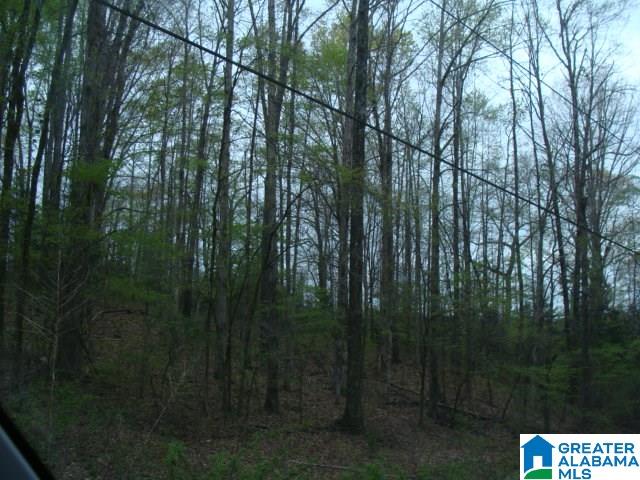 406 Caffe Ridge, Unit PARCEL Woodstock, AL 35188 - Photo 18 of 30