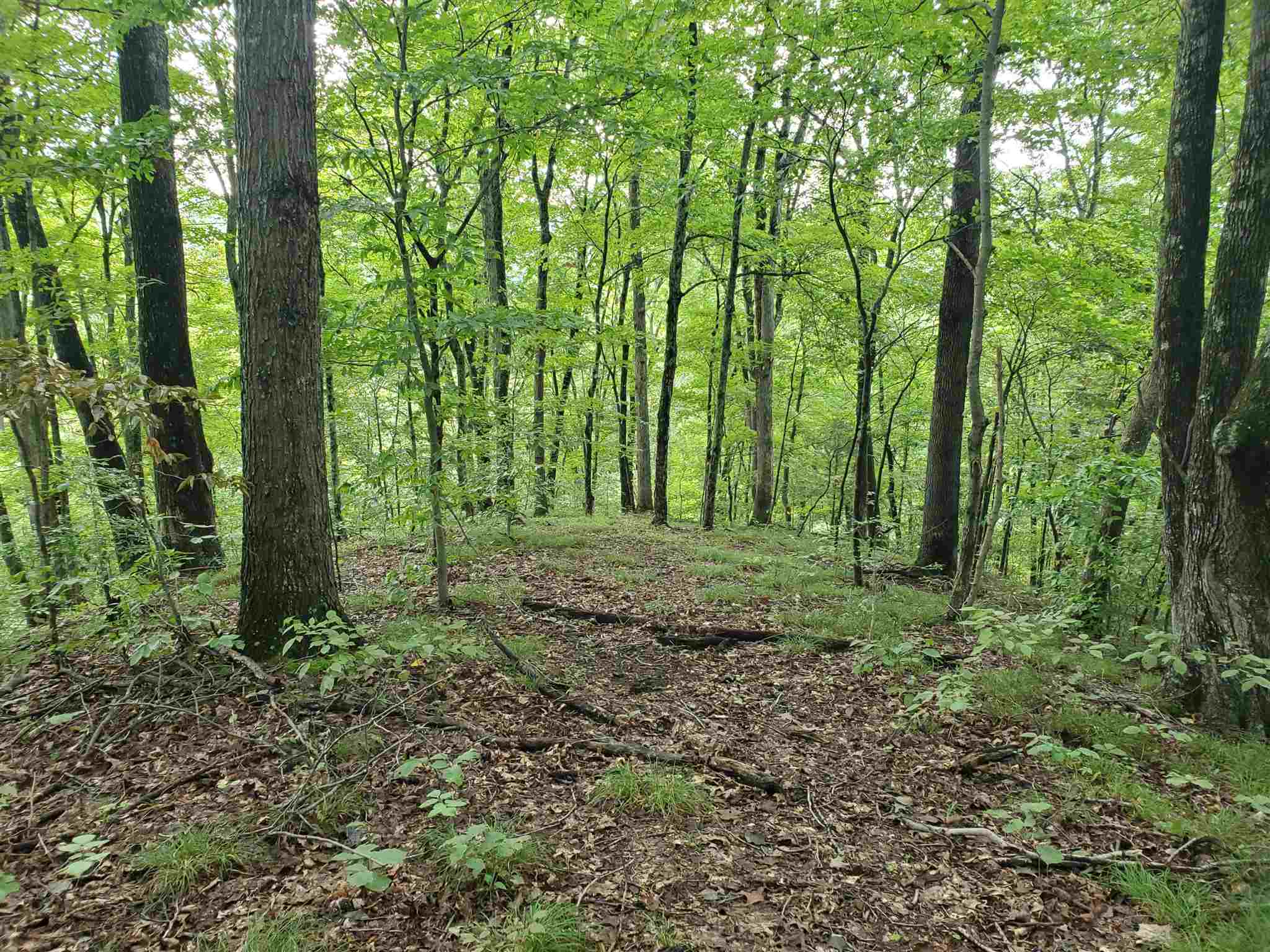 East Stipp Road Bloomington, IN 47401 - Photo 12 of 16