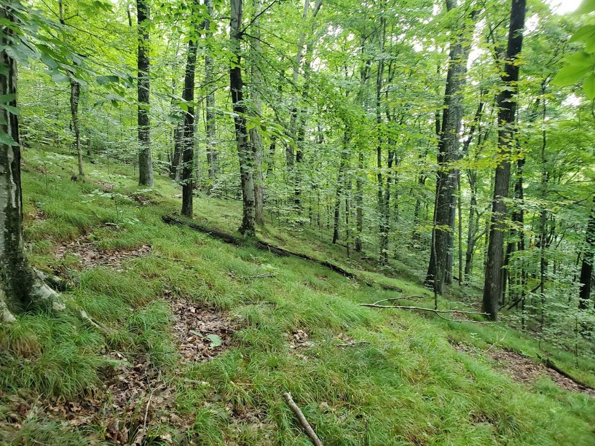 East Stipp Road Bloomington, IN 47401 - Photo 13 of 16