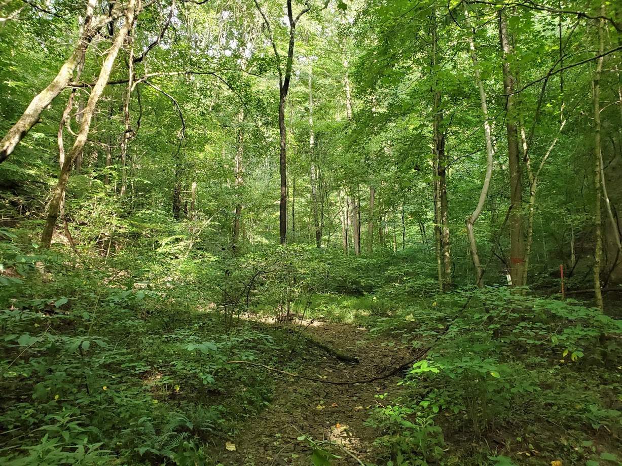 East Stipp Road Bloomington, IN 47401 - Photo 15 of 16