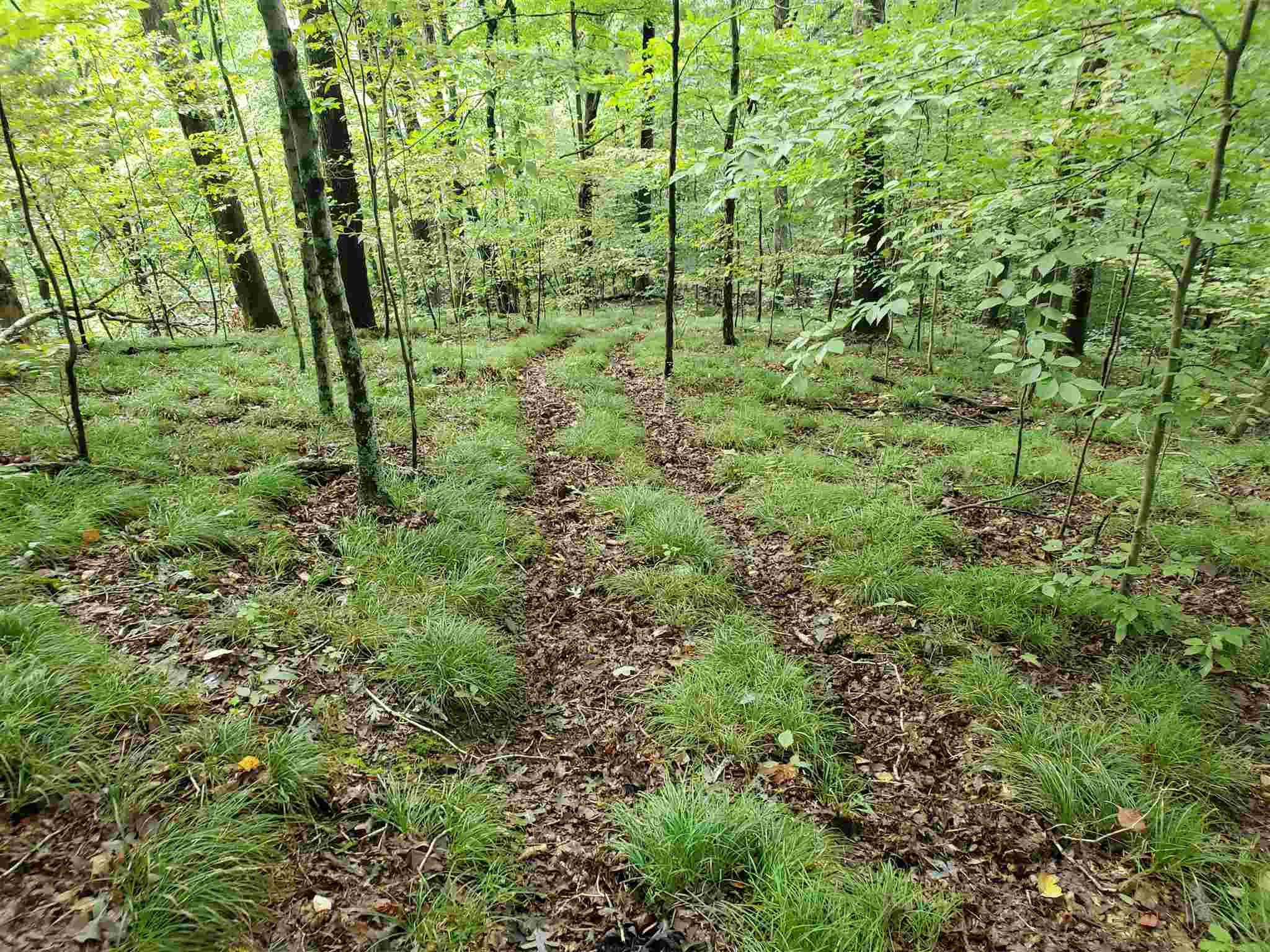 East Stipp Road Bloomington, IN 47401 - Photo 16 of 16