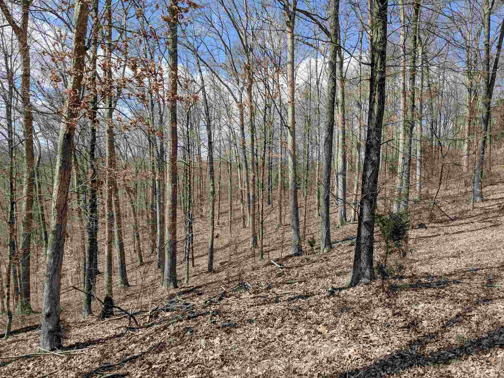 East Stipp Road Bloomington, IN 47401 - Photo 4 of 16