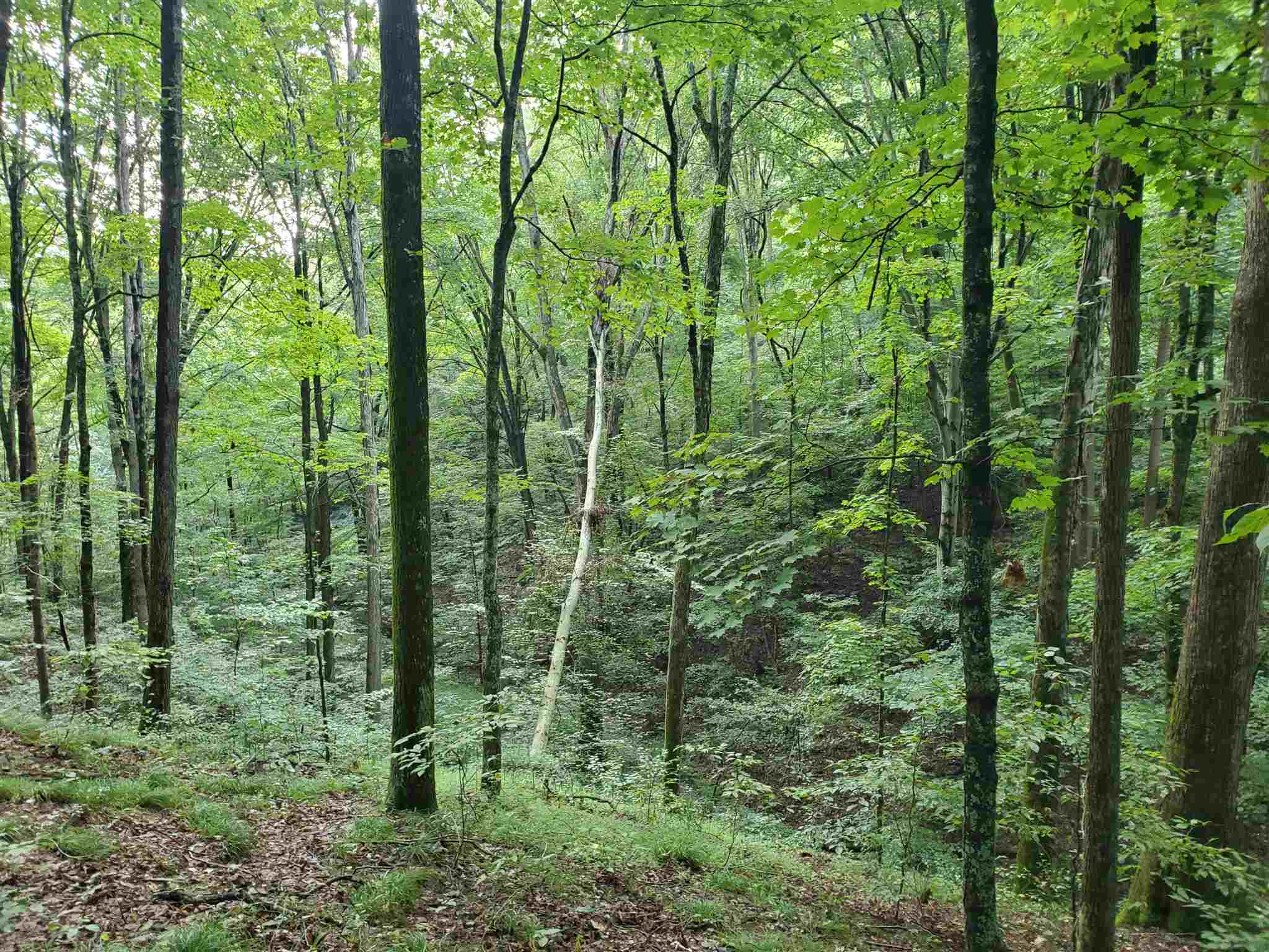 East Stipp Road Bloomington, IN 47401 - Photo 5 of 16