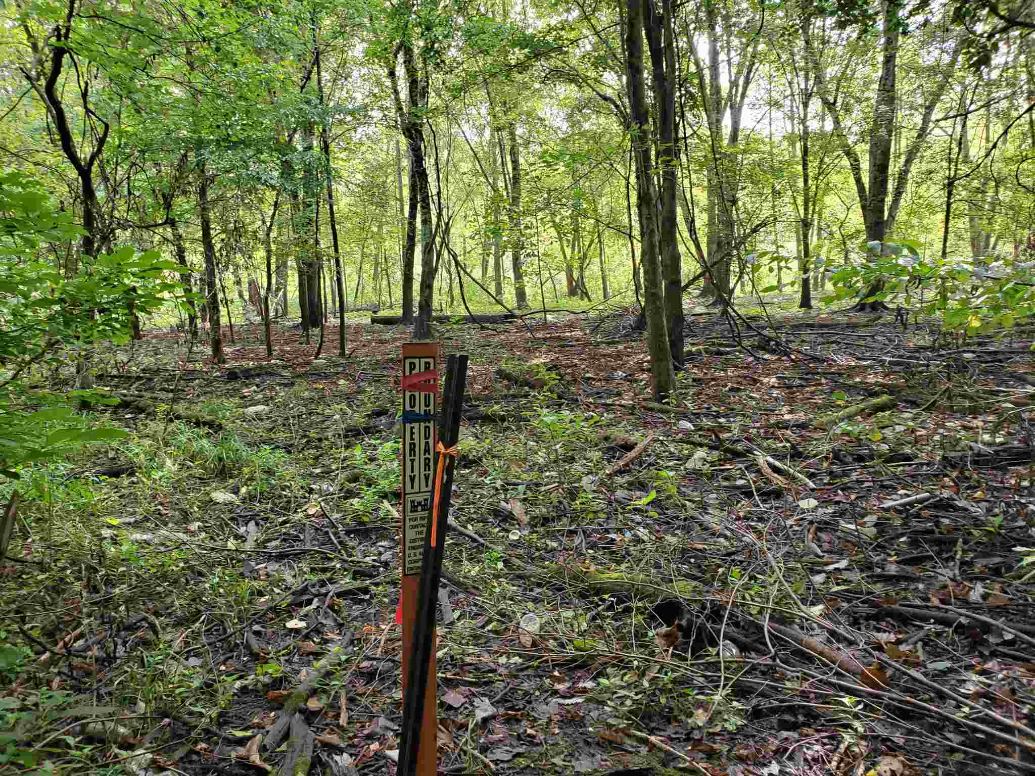 East Stipp Road Bloomington, IN 47401 - Photo 10 of 16