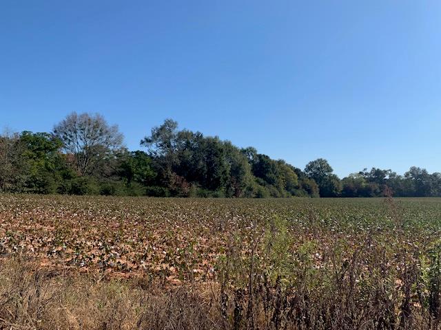 0 St Stephens Road Slocomb, AL 36375 - Photo 1 of 7