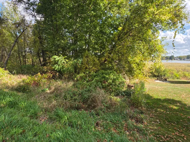 $40,000 | Hankerd Road, Pleasant Lake, MI 49272