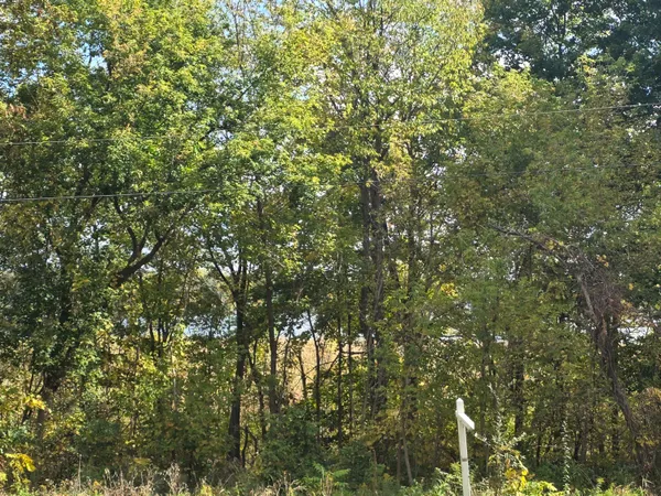 $35,000 | Hankerd Road, Pleasant Lake, MI 49272