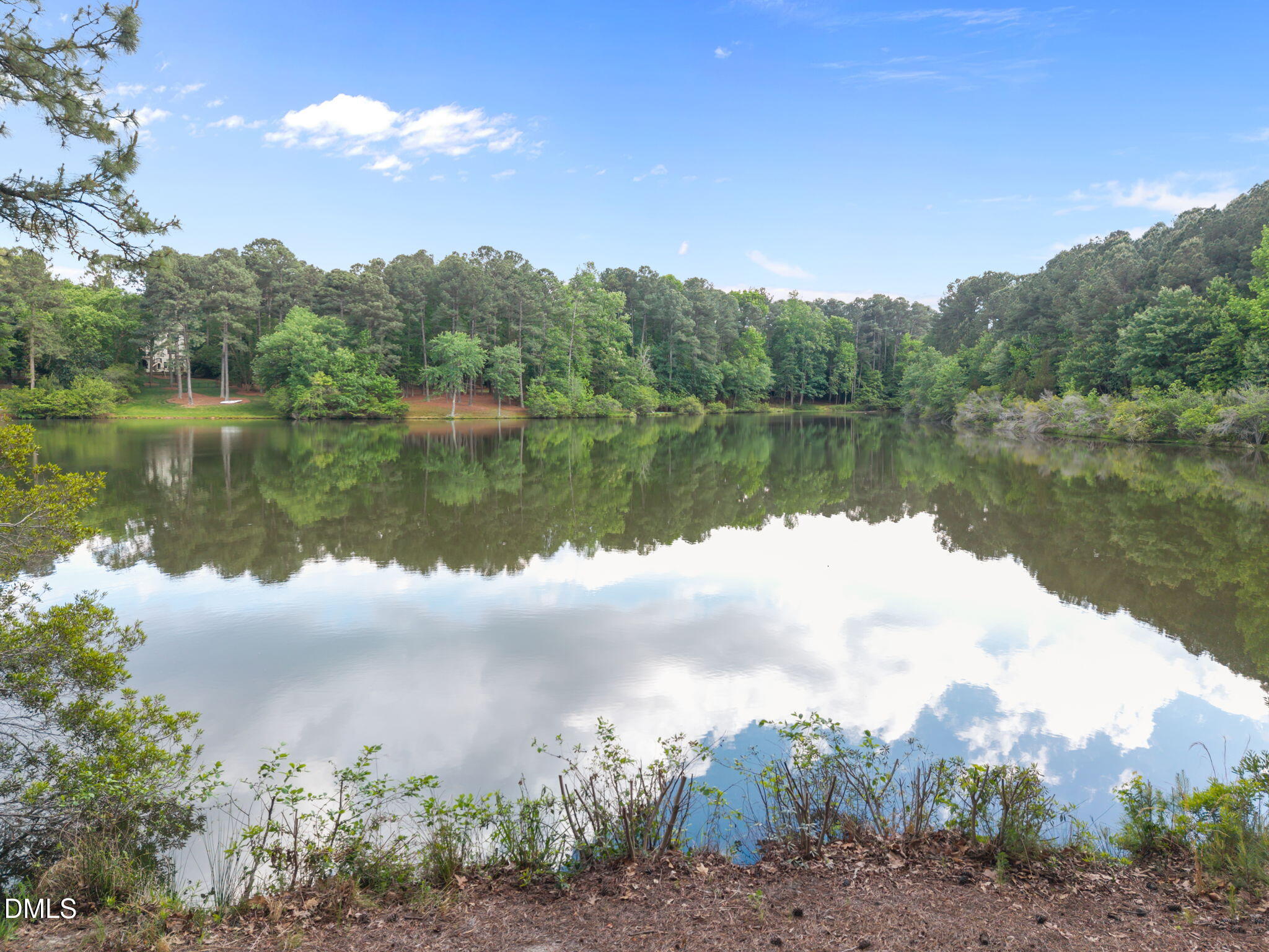 1017 Bearglades Lane Raleigh, NC 27615 - Photo 37 of 51 16-web-or-mls-DJI_20260430171312_0923_D