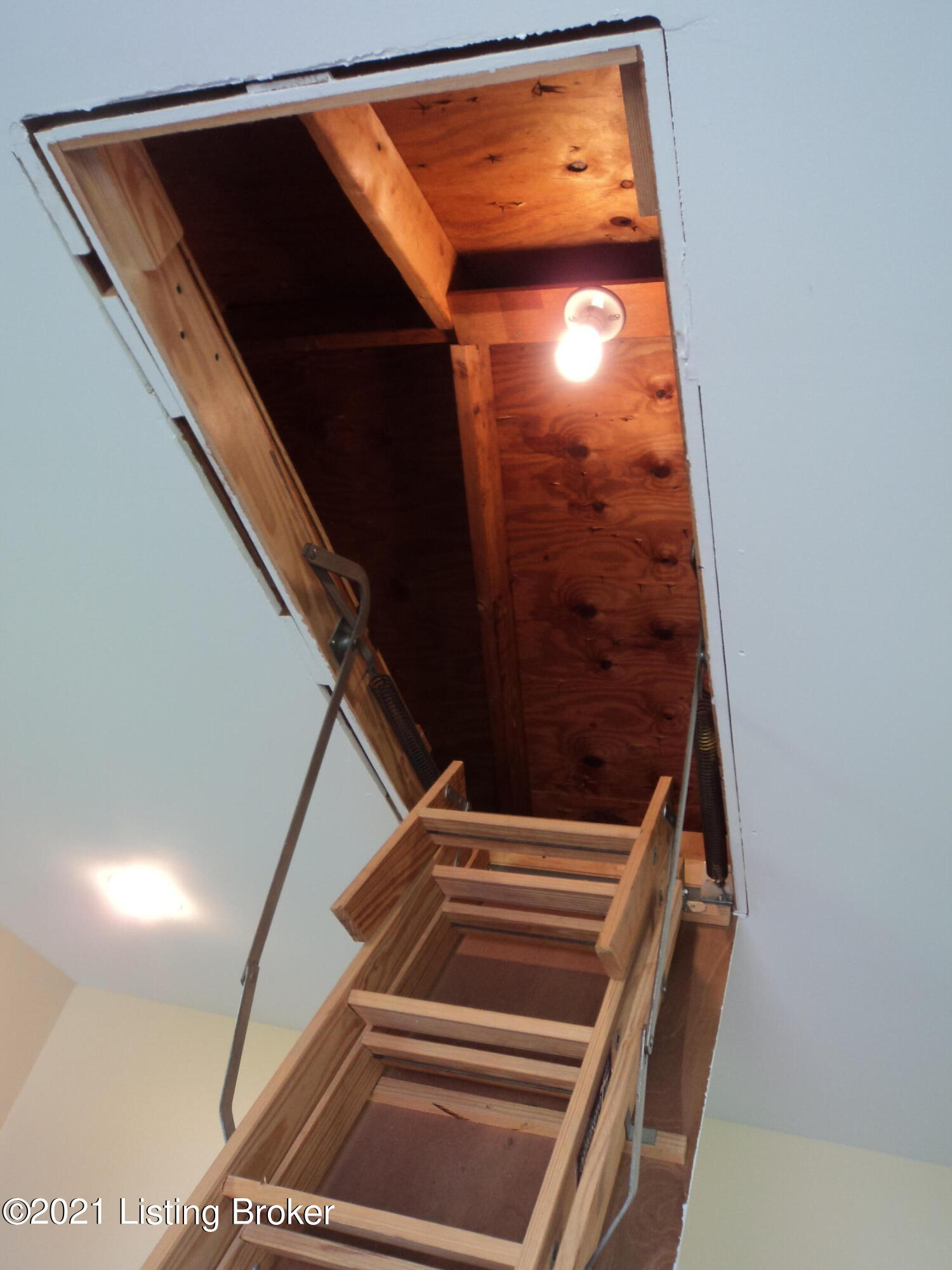 1860 Lynn Lea Road Louisville, KY 40216 - Photo 35 of 38 Pull-Down Stairs to the Storage Area in the Outbuilding