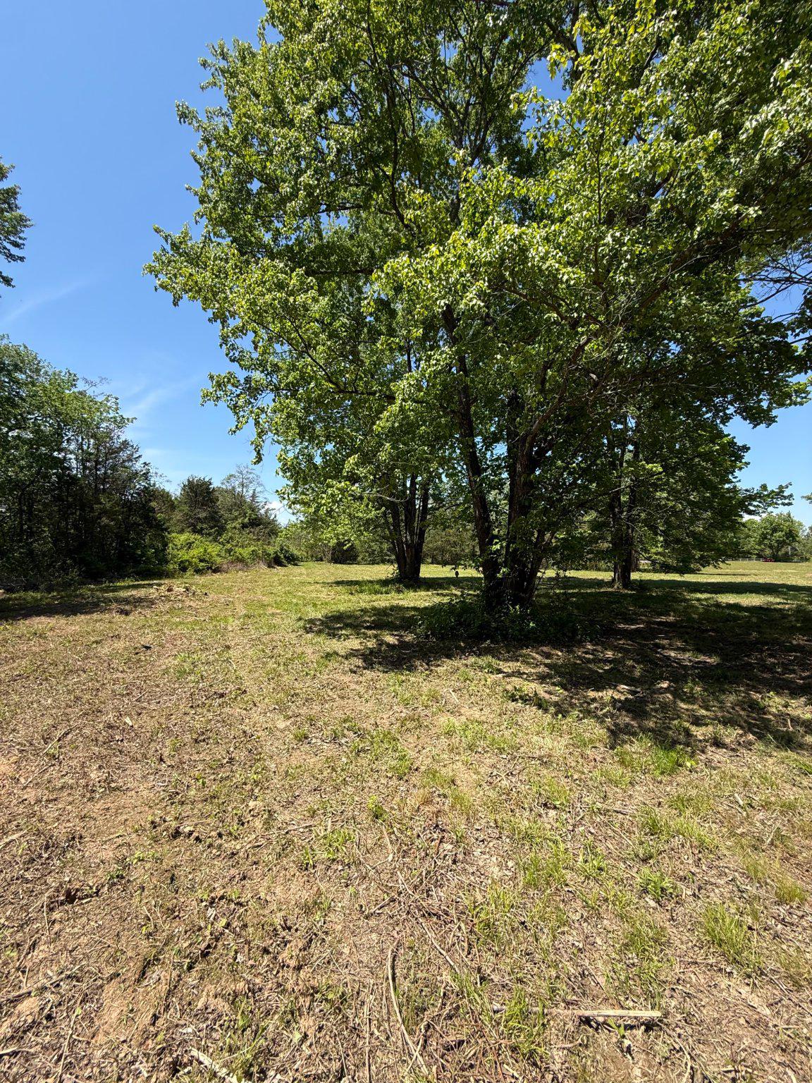 Catlett Road Bealeton, VA 22712 - Photo 10 of 10