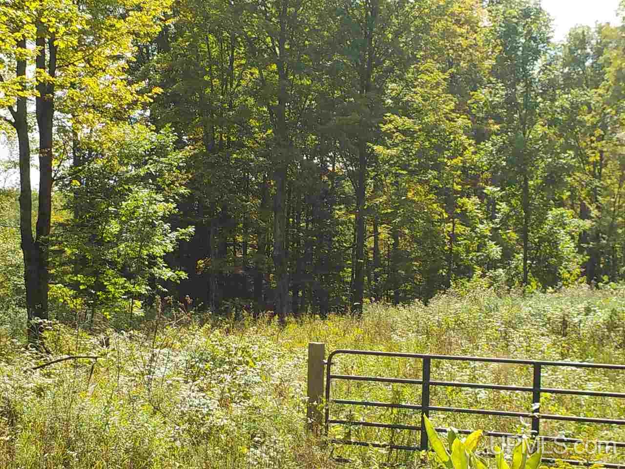 80-ac Mcclaren Road Crystal Falls, MI 49920 - Photo 2 of 27