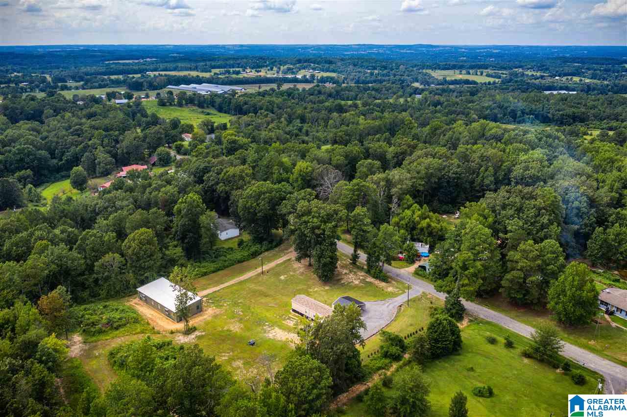 2900 Wilson Chapel Road Altoona, AL 35952 - Photo 40 of 50