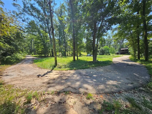 a view of a park with large trees