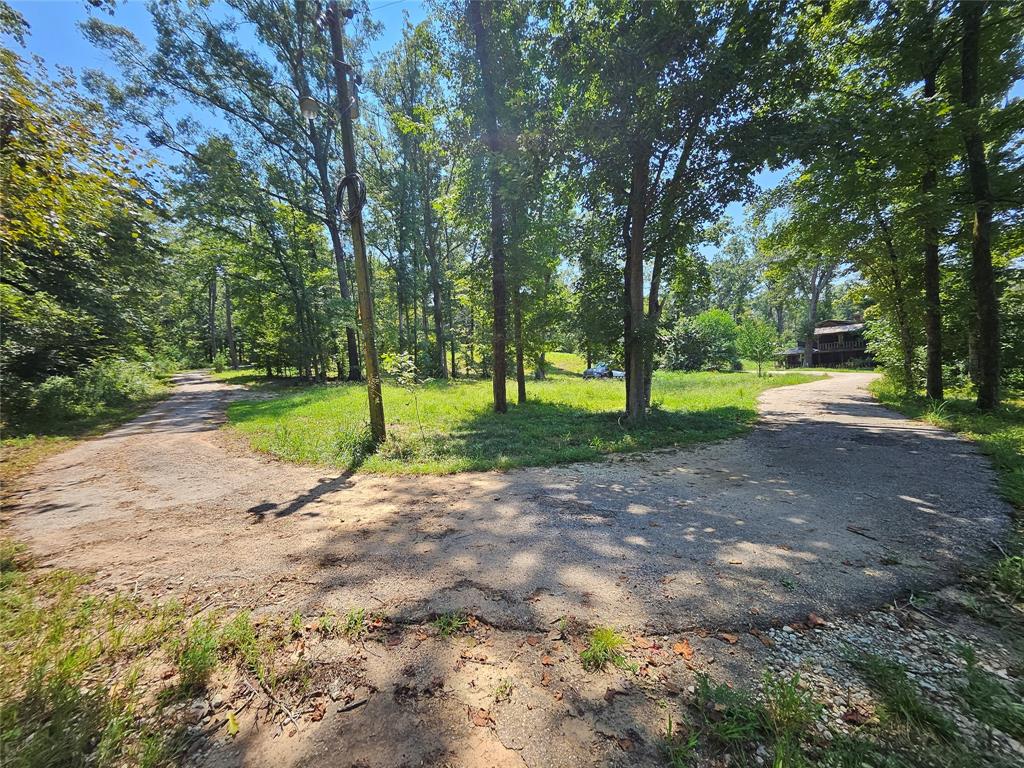 16307 County Road Henderson, TX 75654 - Photo 22 of 27 a view of a park with large trees