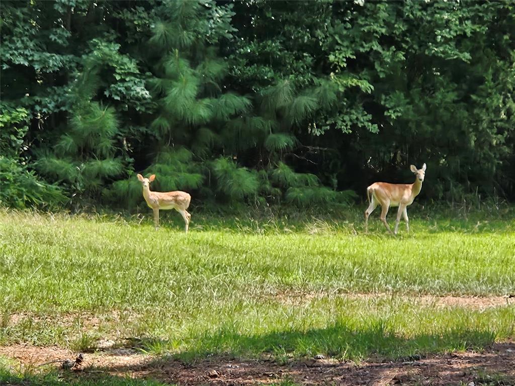 16307 County Road Henderson, TX 75654 - Photo 25 of 27 a backyard of a house with yard and outdoor seating