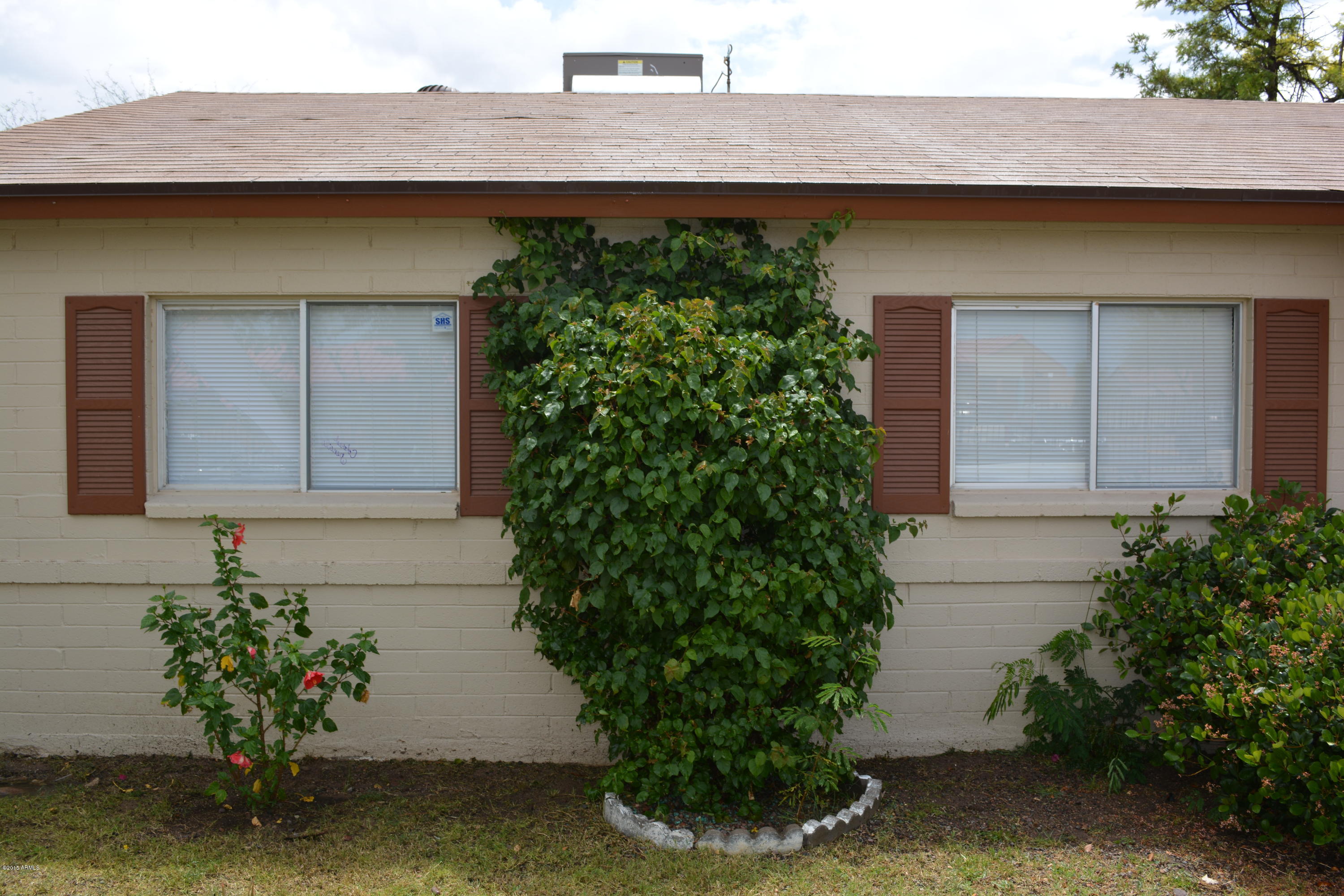 1737 West Vineyard Road Phoenix, AZ 85041 - Photo 8 of 24 DSC_0185