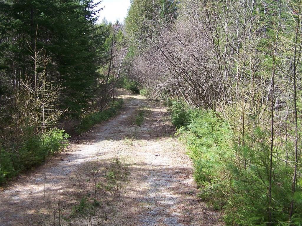 7 Diamond Road Ellsworth, ME 04605 - Photo 5 of 21 Photo