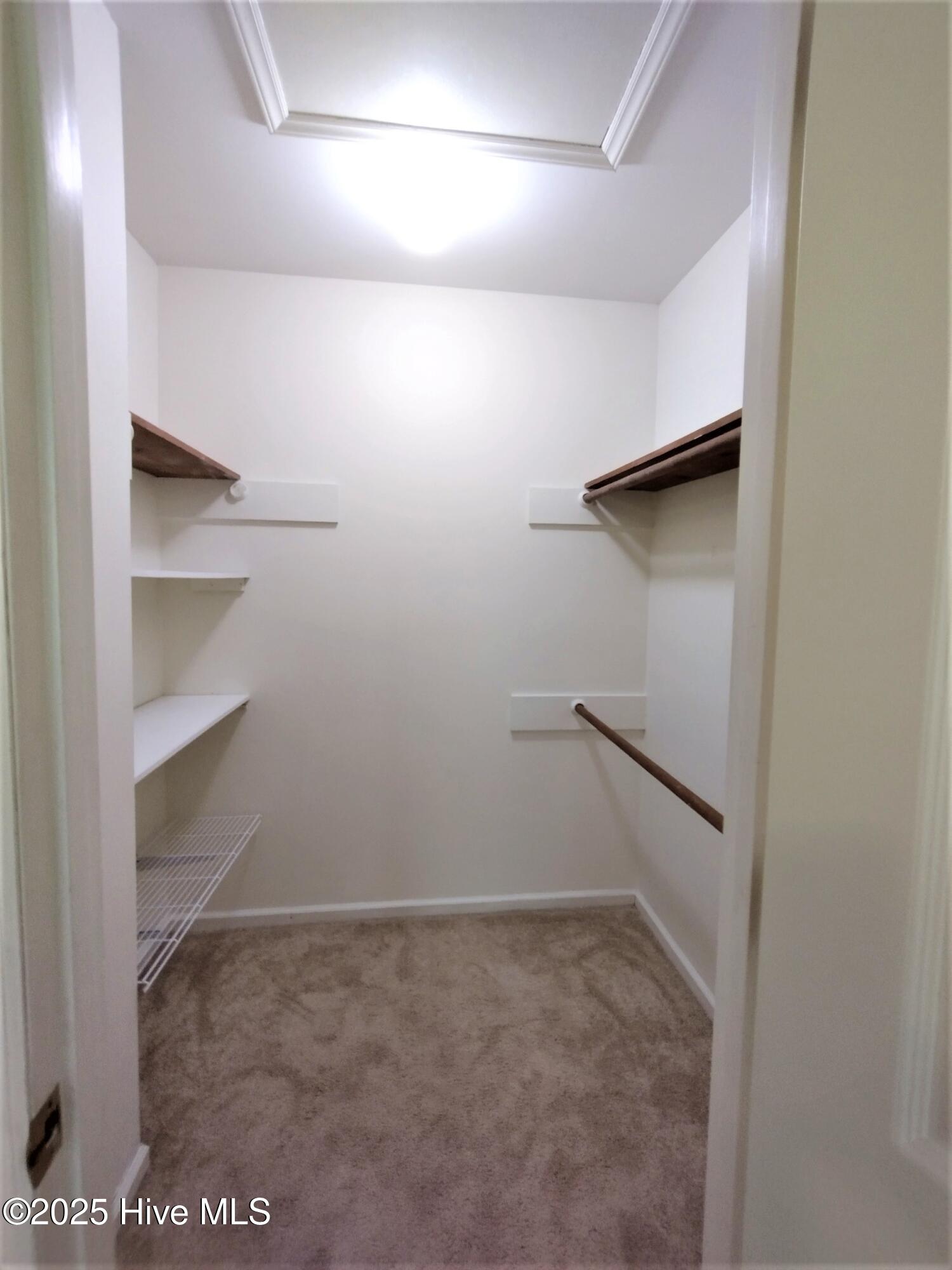 509 Mill Street Simpson, NC 27858 - Photo 23 of 39 IMG_20230801_121856727