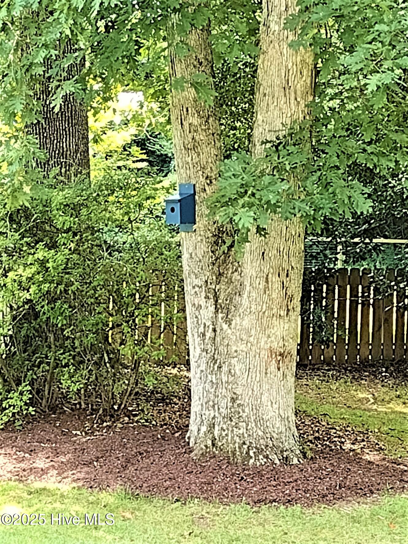 509 Mill Street Simpson, NC 27858 - Photo 36 of 39 IMG_20230801_124530633