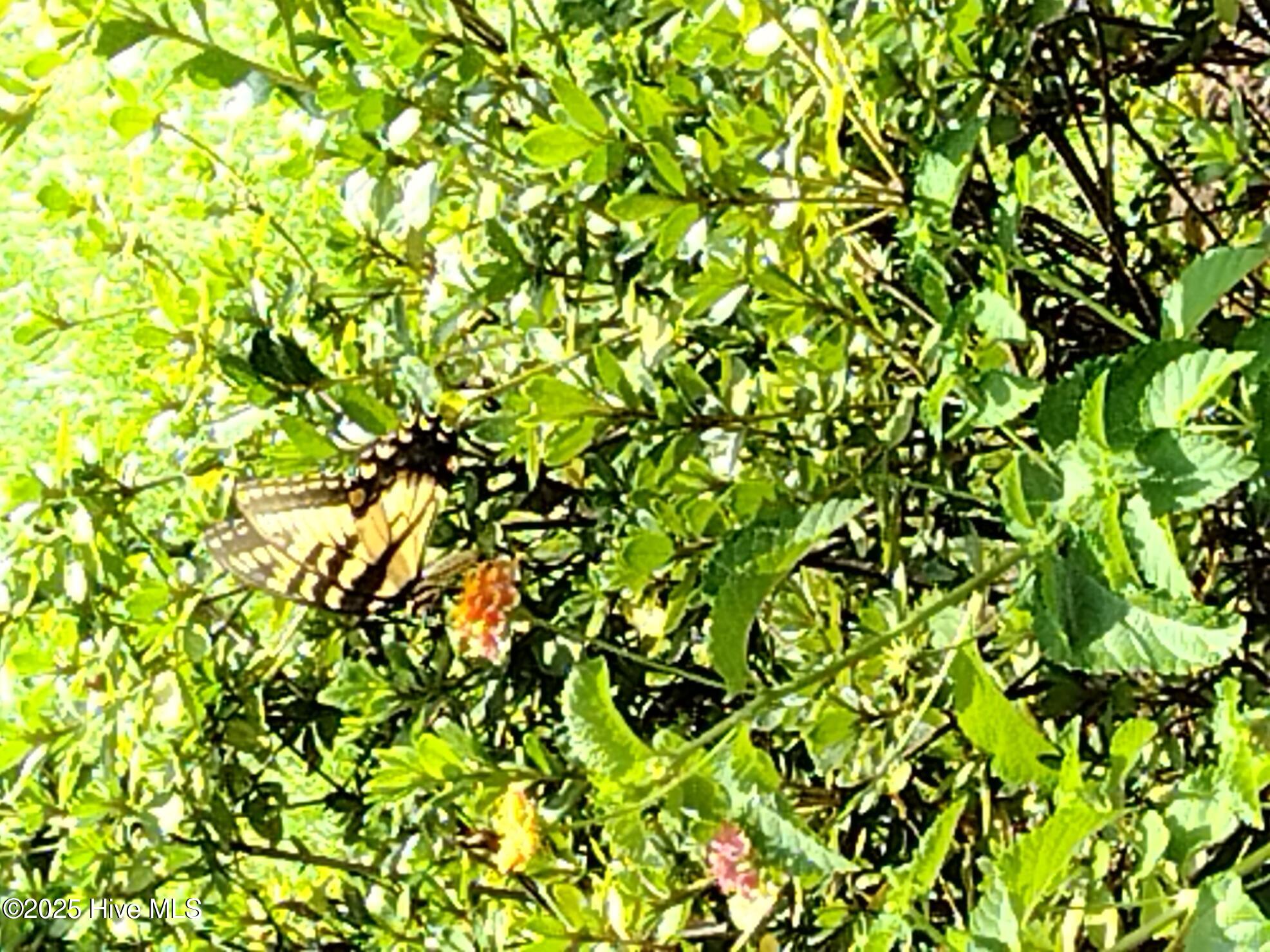 509 Mill Street Simpson, NC 27858 - Photo 5 of 39 IMG_20230801_130857721_BURST016