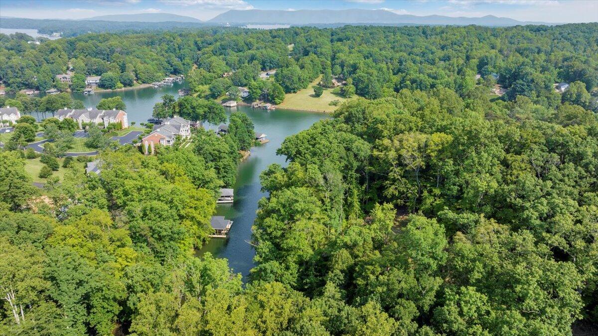 a view of a garden with a lake