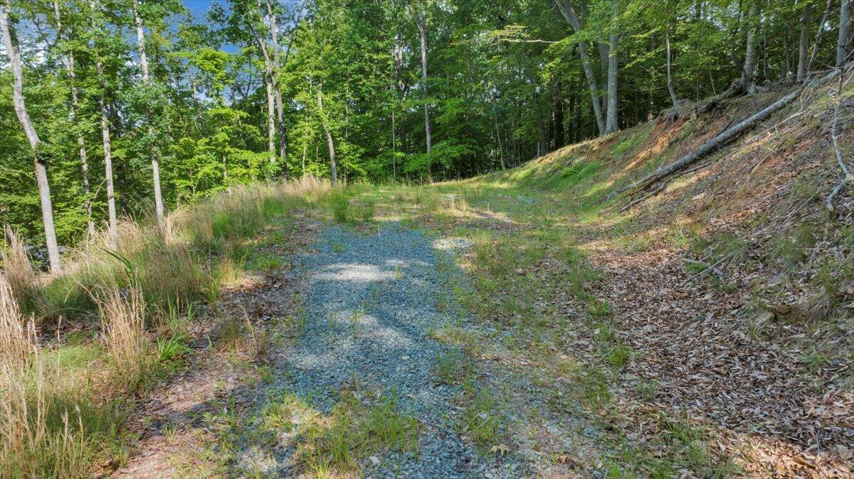 Lot 1 Windlass Road Moneta, VA 24121 - Photo 11 of 55 a view of a lush green space