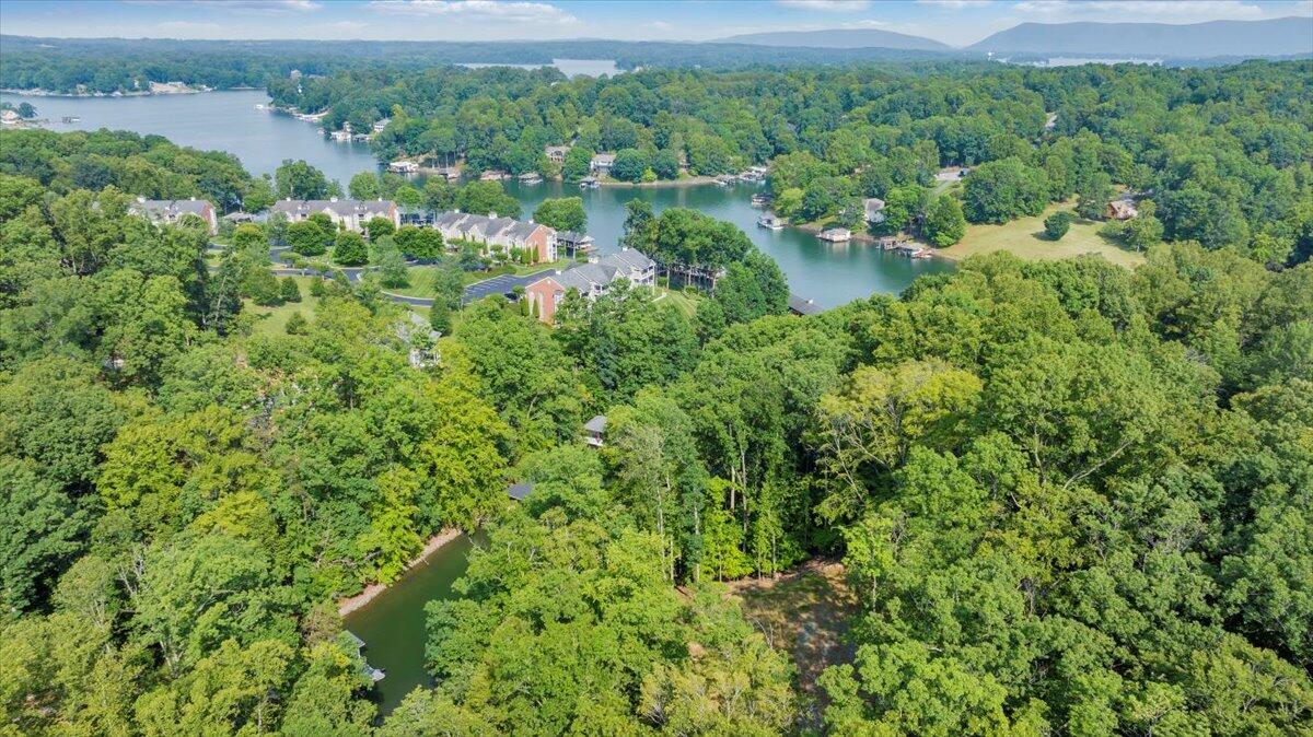 Lot 1 Windlass Road Moneta, VA 24121 - Photo 22 of 55 an aerial view of a houses with a yard