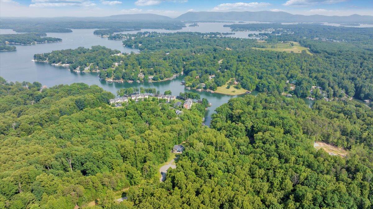 Lot 1 Windlass Road Moneta, VA 24121 - Photo 28 of 55 a view of a garden with a building in front of it