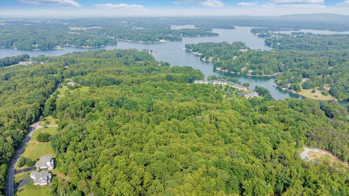 Lot 1 Windlass Road Moneta, VA 24121 - Photo 29 of 55 29-DJI_20250605014833_0029_D