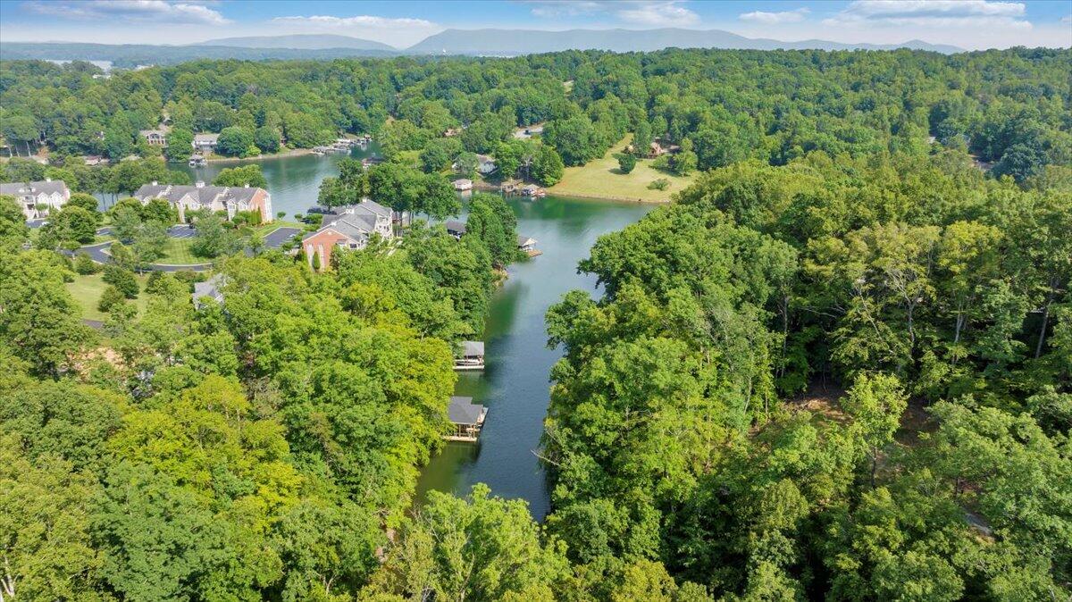 Lot 1 Windlass Road Moneta, VA 24121 - Photo 31 of 55 a view of a garden with a lake