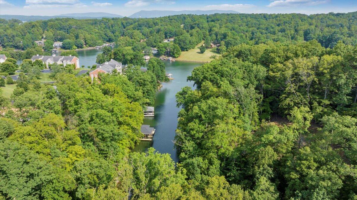 Lot 1 Windlass Road Moneta, VA 24121 - Photo 33 of 55 a view of a garden with a lake view