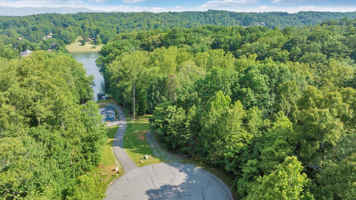 Lot 1 Windlass Road Moneta, VA 24121 - Photo 35 of 55 a view of a city with lush green forest