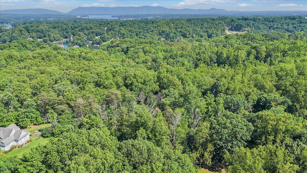 Lot 1 Windlass Road Moneta, VA 24121 - Photo 38 of 55 a view of a large yard with lots of green space