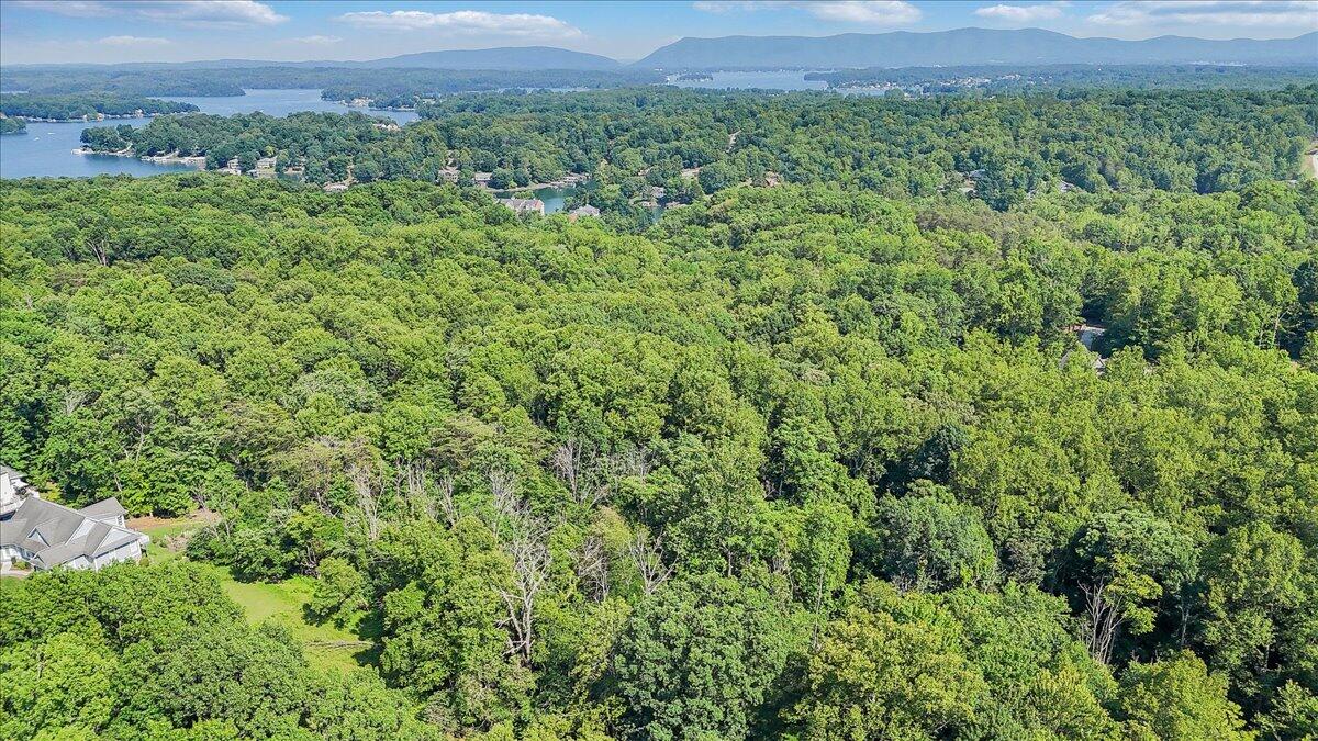 Lot 1 Windlass Road Moneta, VA 24121 - Photo 39 of 55 a view of a green field with lots of bushes