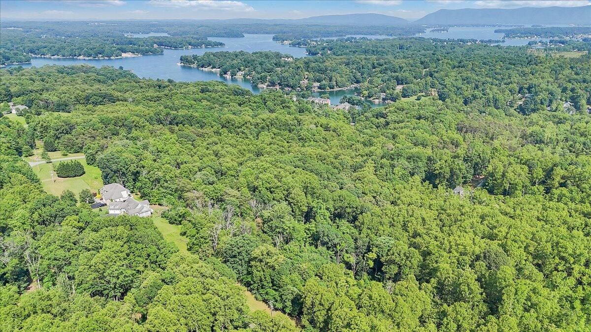Lot 1 Windlass Road Moneta, VA 24121 - Photo 40 of 55 40-DJI_20250603162624_0080_D