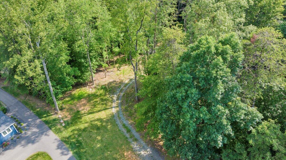 Lot 1 Windlass Road Moneta, VA 24121 - Photo 4 of 55 a view of a forest