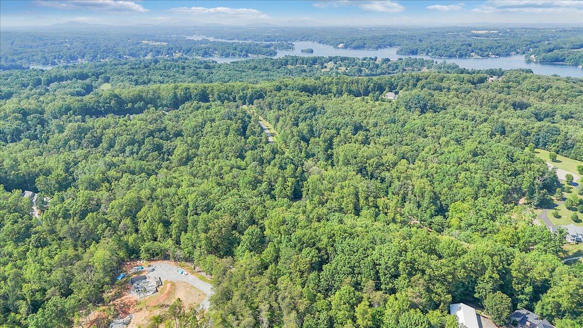 Lot 1 Windlass Road Moneta, VA 24121 - Photo 42 of 55 a view of a big yard with lots of green space and deers