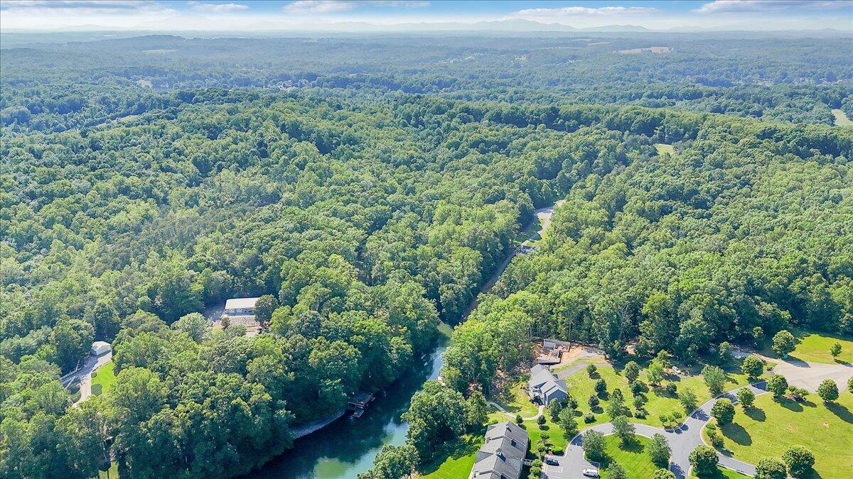 Lot 1 Windlass Road Moneta, VA 24121 - Photo 46 of 55 46-DJI_20250603162951_0087_D
