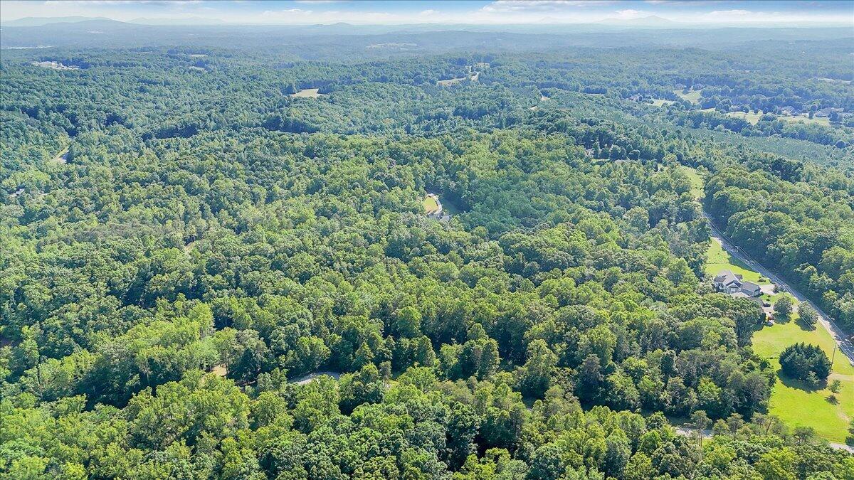 Lot 1 Windlass Road Moneta, VA 24121 - Photo 47 of 55 an aerial view of residential house and green space