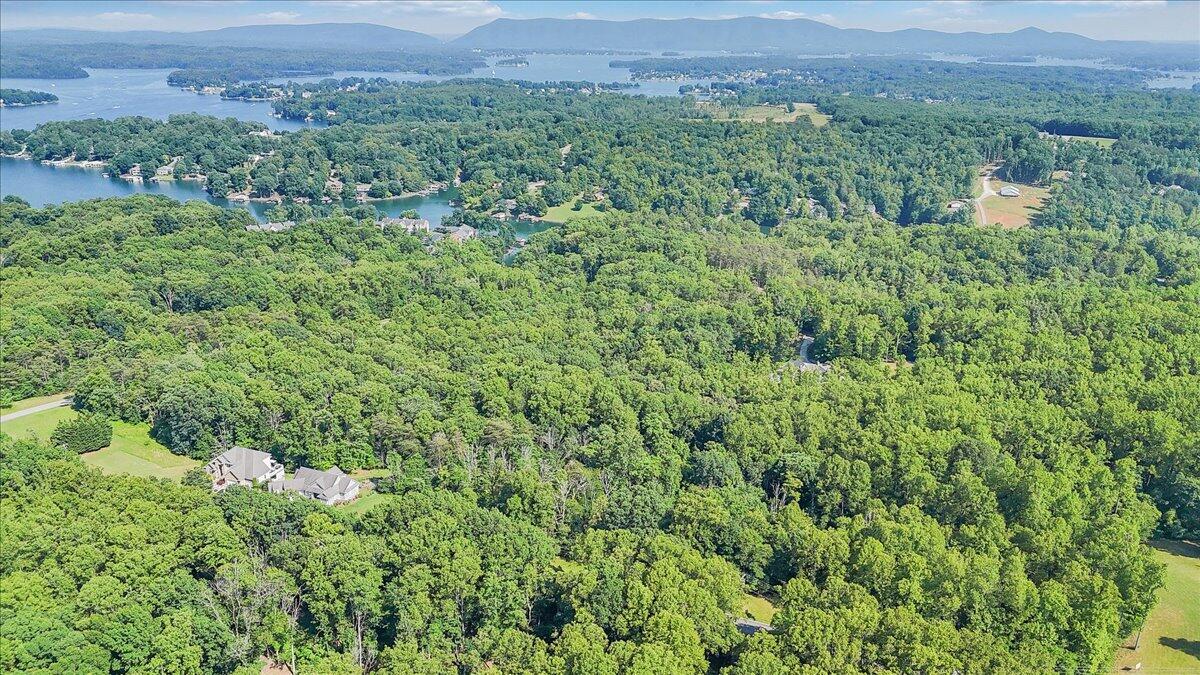 Lot 1 Windlass Road Moneta, VA 24121 - Photo 49 of 55 a view of a green field with lots of bushes