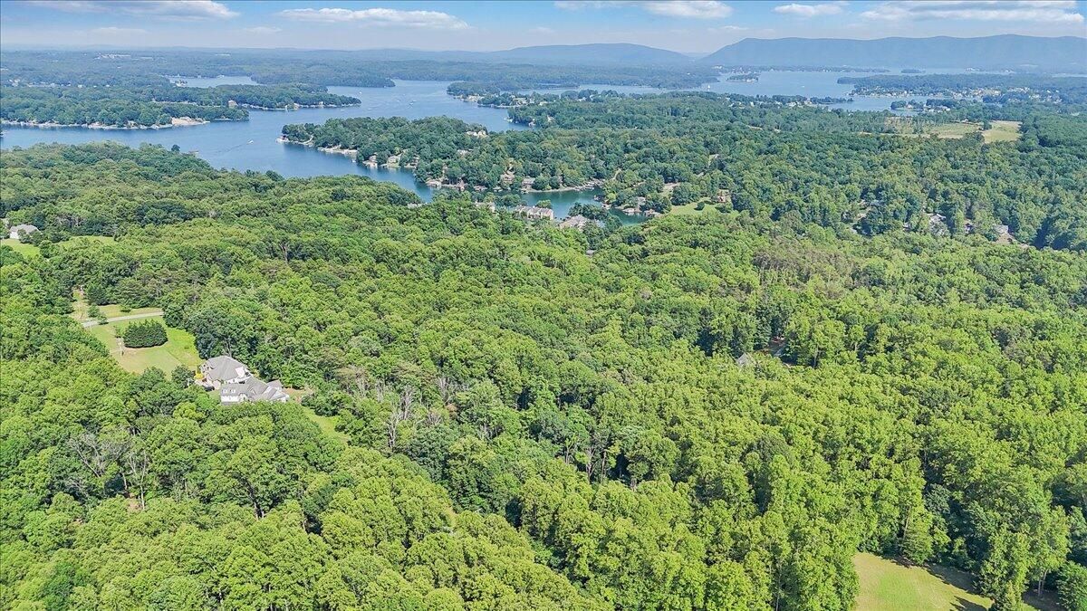 Lot 1 Windlass Road Moneta, VA 24121 - Photo 50 of 55 a view of a lush green forest with trees and some houses