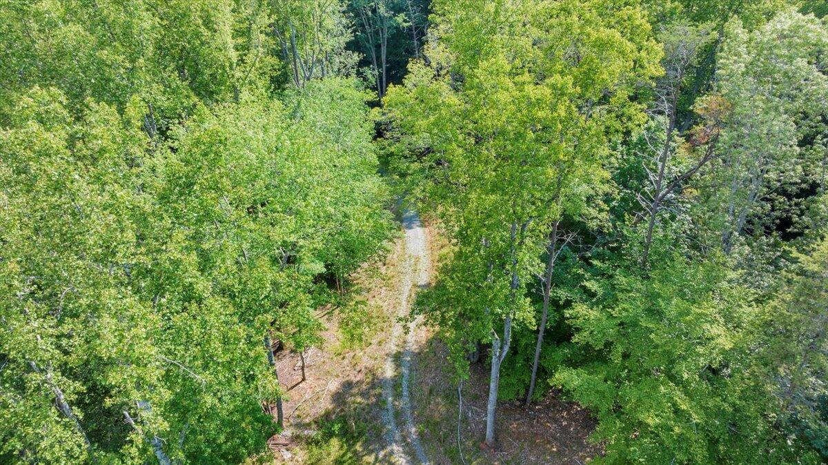 Lot 1 Windlass Road Moneta, VA 24121 - Photo 5 of 55 05-DJI_20250605013722_0004_D