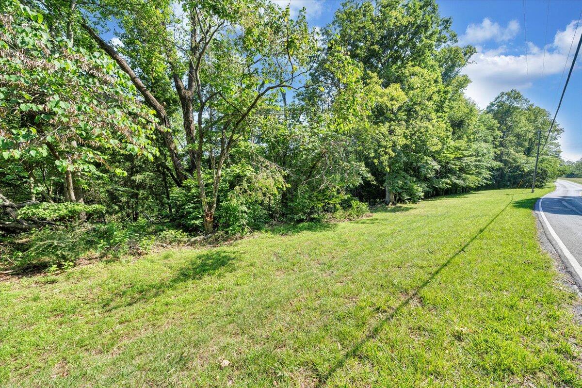 Lot 1 Windlass Road Moneta, VA 24121 - Photo 52 of 55 a view of a garden with a tree