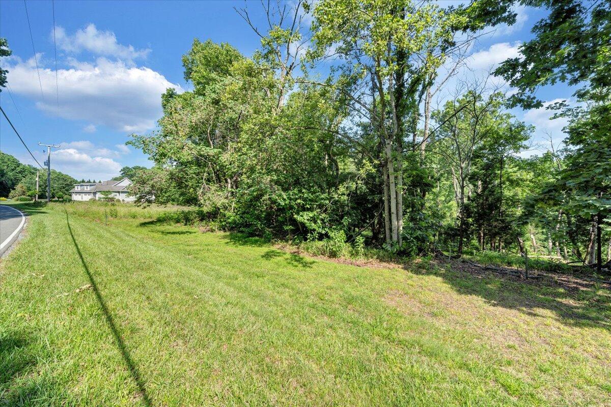 Lot 1 Windlass Road Moneta, VA 24121 - Photo 53 of 55 a view of a park with large trees