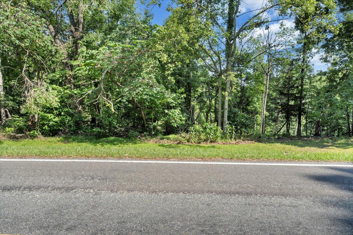 Lot 1 Windlass Road Moneta, VA 24121 - Photo 54 of 55 a view of a yard with a large trees