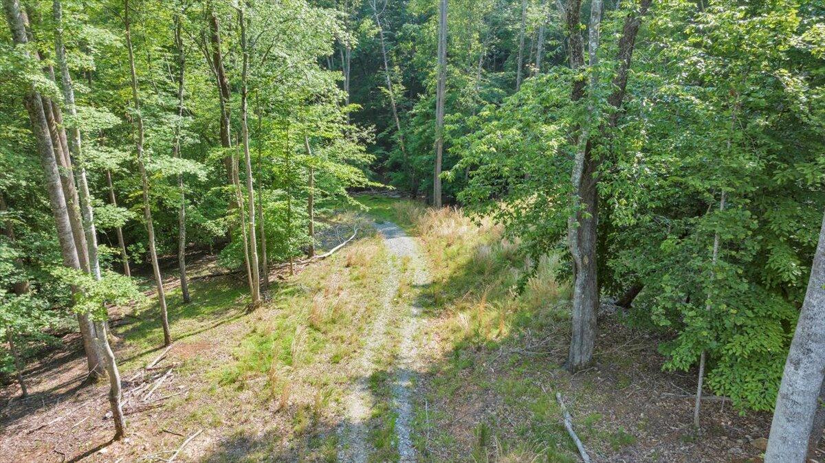 Lot 1 Windlass Road Moneta, VA 24121 - Photo 6 of 55 a view of forest