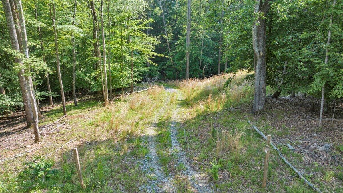 Lot 1 Windlass Road Moneta, VA 24121 - Photo 7 of 55 a backyard of a house with lots of green space