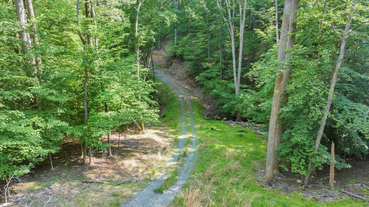 Lot 1 Windlass Road Moneta, VA 24121 - Photo 8 of 55 a view of a lush green forest