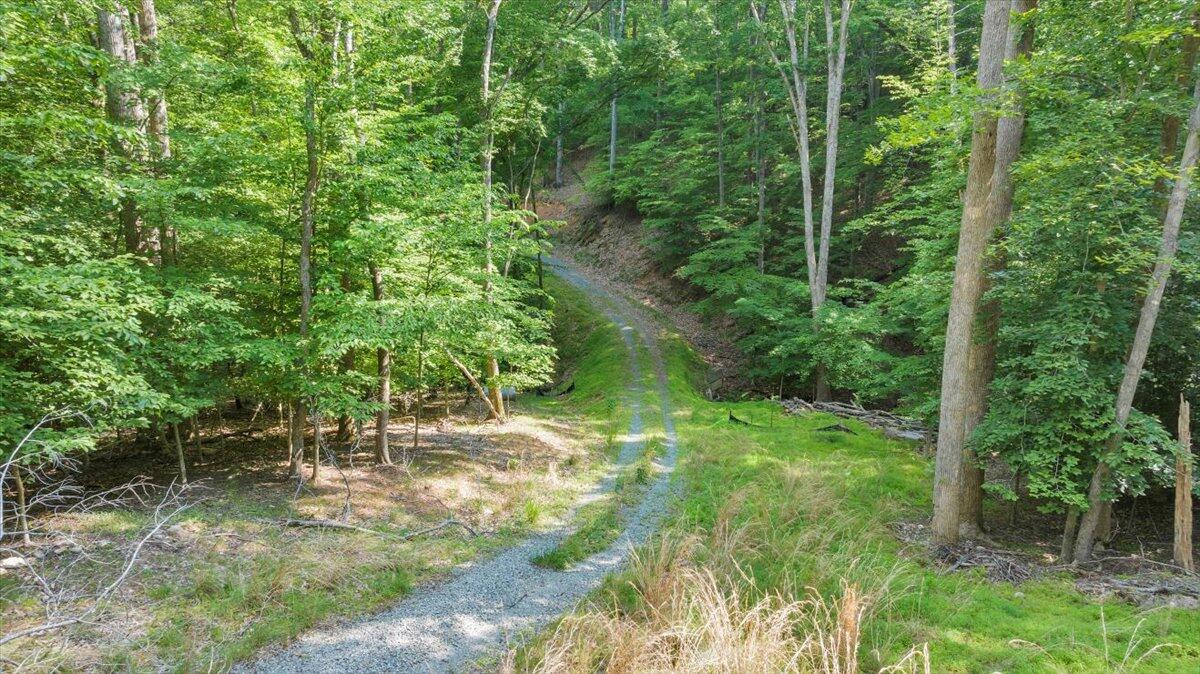 Lot 1 Windlass Road Moneta, VA 24121 - Photo 9 of 55 a view of yard