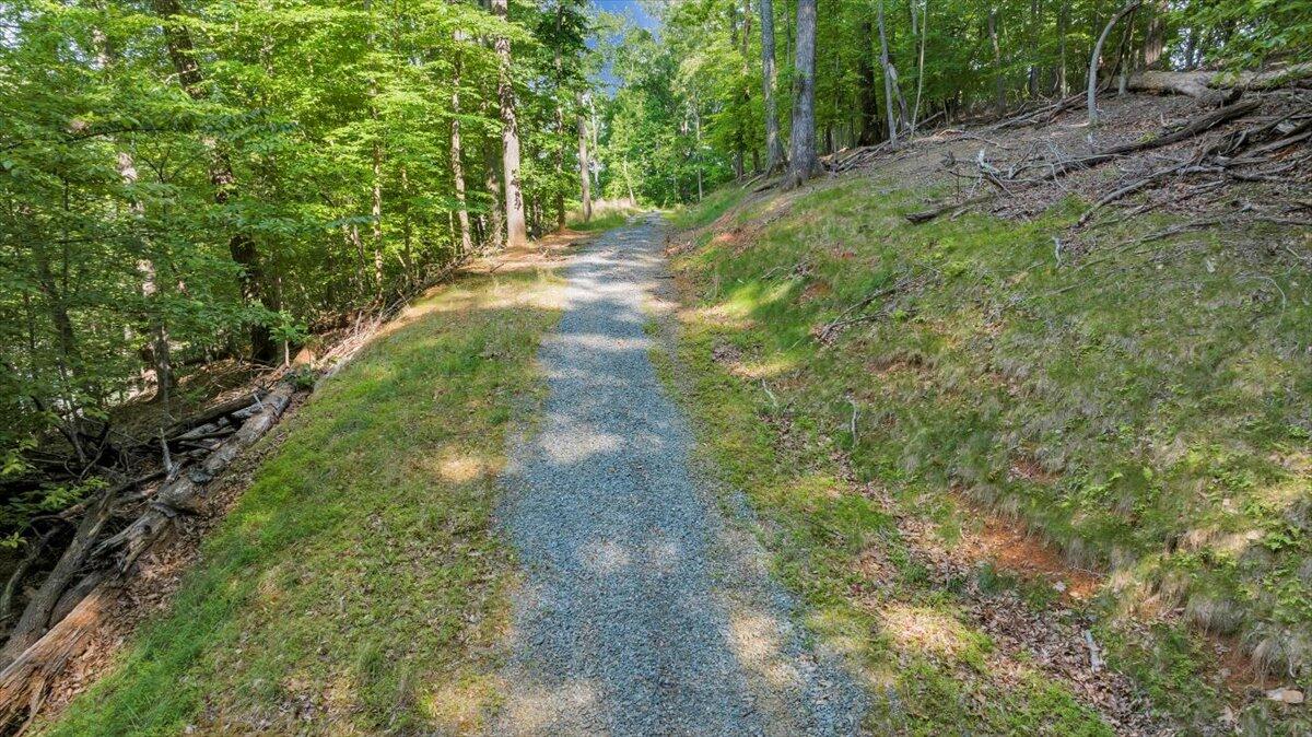 Lot 1 Windlass Road Moneta, VA 24121 - Photo 10 of 55 a view of a yard with plants and large trees